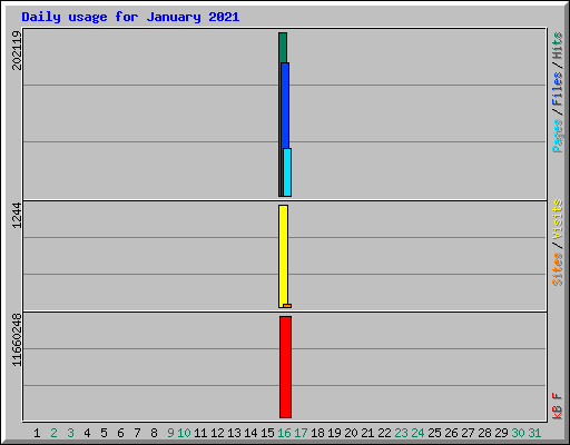 Daily usage for January 2021