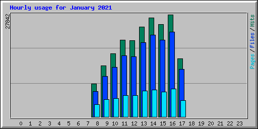 Hourly usage for January 2021